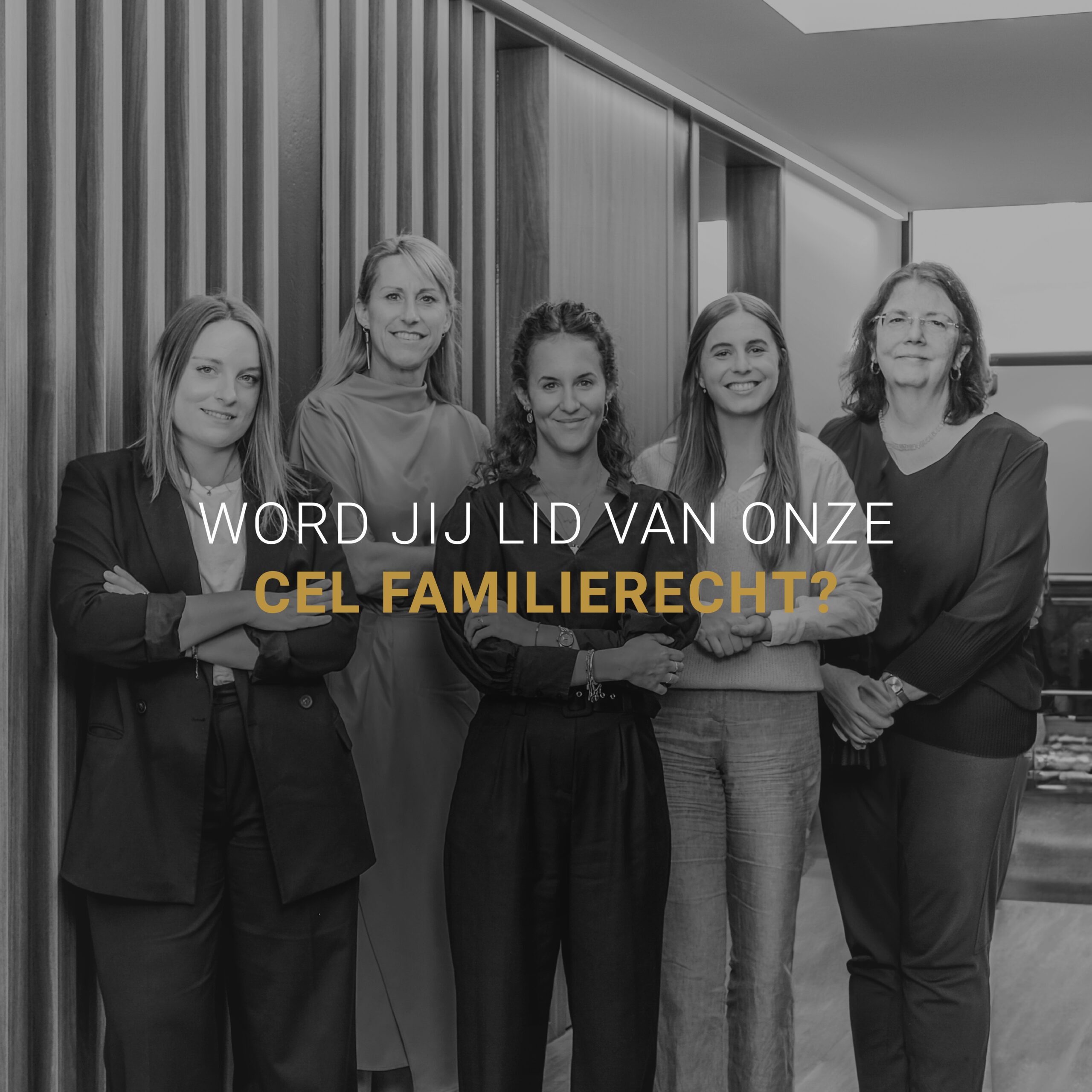 Reyns Advocaten, Advocatenkantoor, advocaat antwerpen, advocaten , familierecht